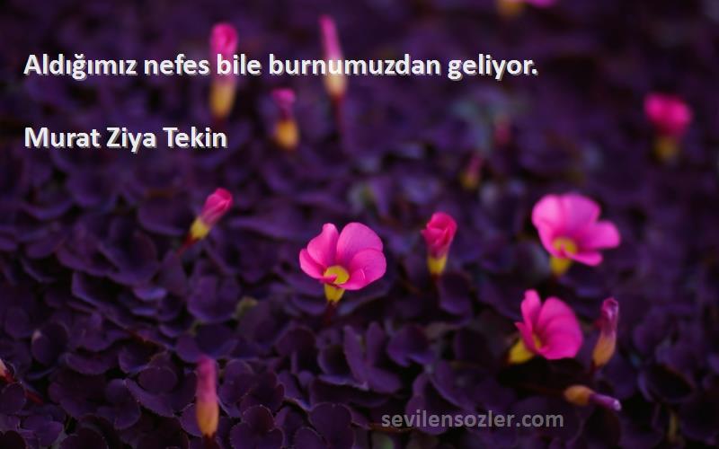 Murat Ziya Tekin Sözleri 
Aldığımız nefes bile burnumuzdan geliyor.