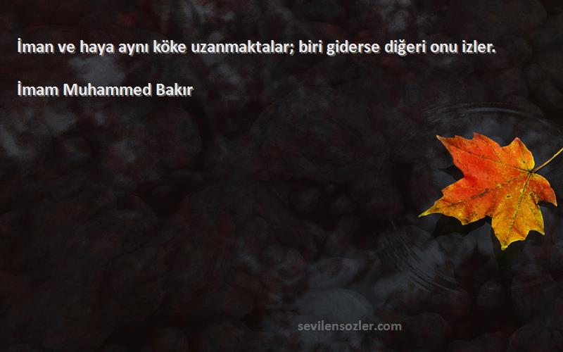 İmam Muhammed Bakır Sözleri 
İman ve haya aynı köke uzanmaktalar; biri giderse diğeri onu izler.