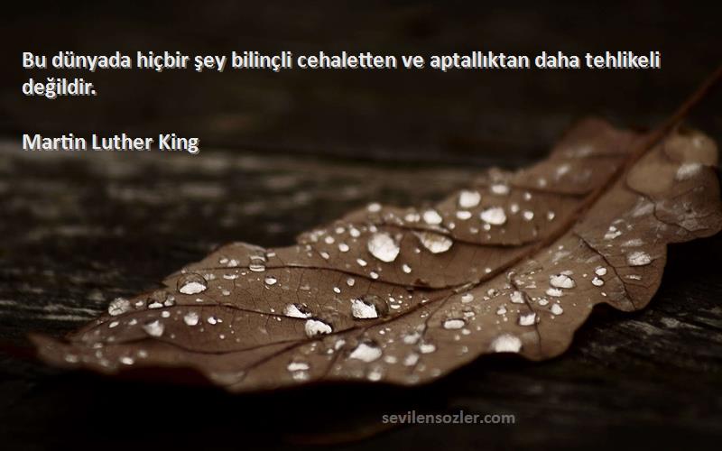 Martin Luther King Sözleri 
Bu dünyada hiçbir şey bilinçli cehaletten ve aptallıktan daha tehlikeli değildir.