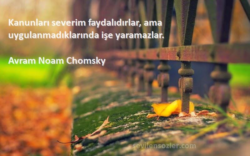 Avram Noam Chomsky Sözleri 
Kanunları severim faydalıdırlar, ama uygulanmadıklarında işe yaramazlar.