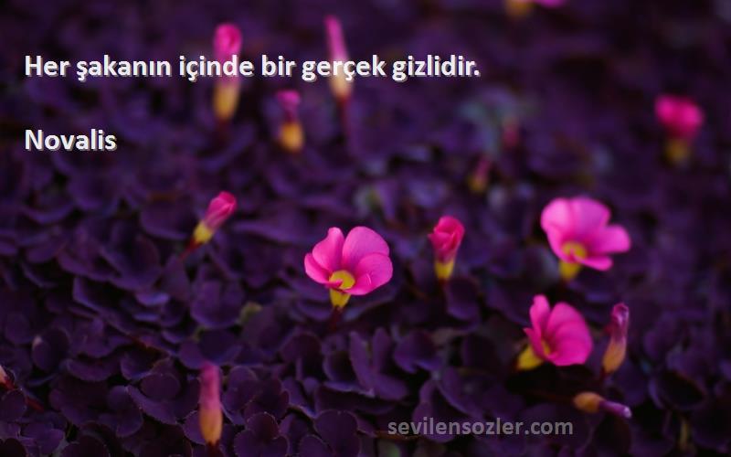 Novalis - Her şakanın içinde bir gerçek gizlidir.