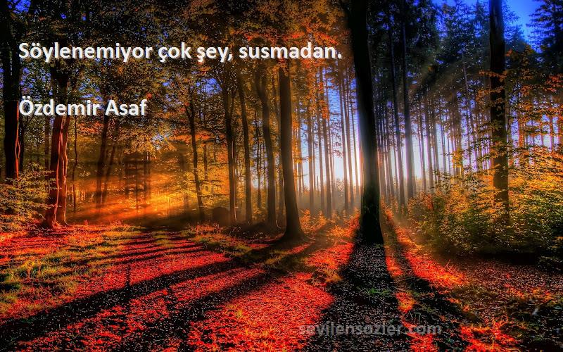 Özdemir Asaf - Söylenemiyor çok şey, susmadan.