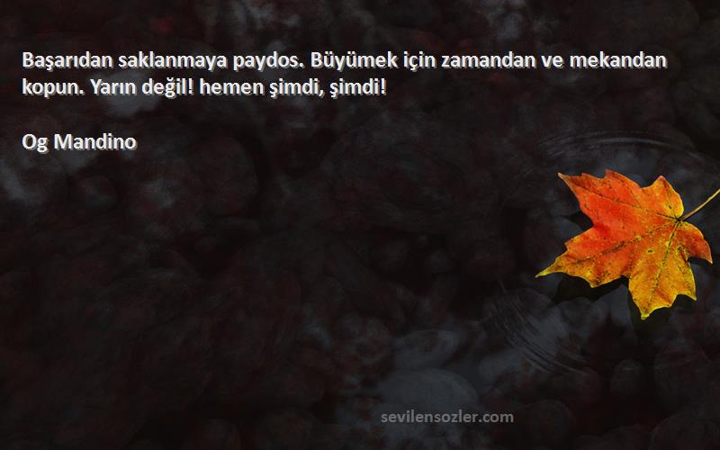 Og Mandino Sözleri 
Başarıdan saklanmaya paydos. Büyümek için zamandan ve mekandan kopun. Yarın değil! hemen şimdi, şimdi!