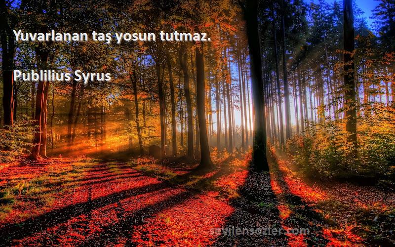 Publilius Syrus - Yuvarlanan taş yosun tutmaz.