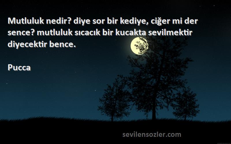 Pucca Sözleri 
Mutluluk nedir? diye sor bir kediye, ciğer mi der sence? mutluluk sıcacık bir kucakta sevilmektir diyecektir bence.