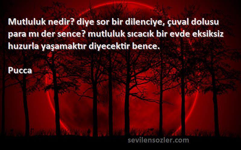 Pucca Sözleri 
Mutluluk nedir? diye sor bir dilenciye, çuval dolusu para mı der sence? mutluluk sıcacık bir evde eksiksiz huzurla yaşamaktır diyecektir bence.