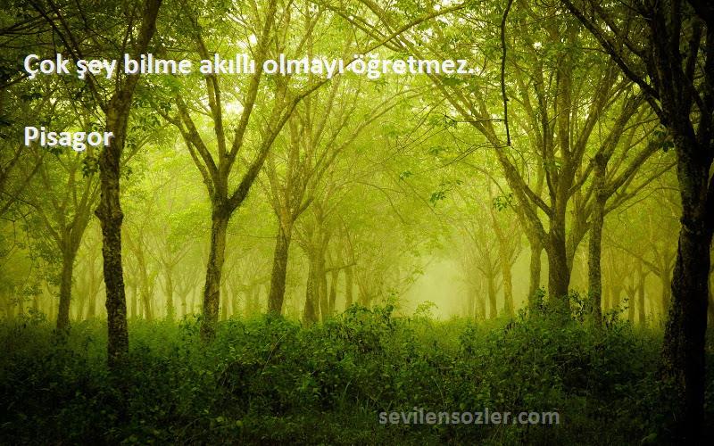 Pisagor - Çok şey bilme akıllı olmayı öğretmez.