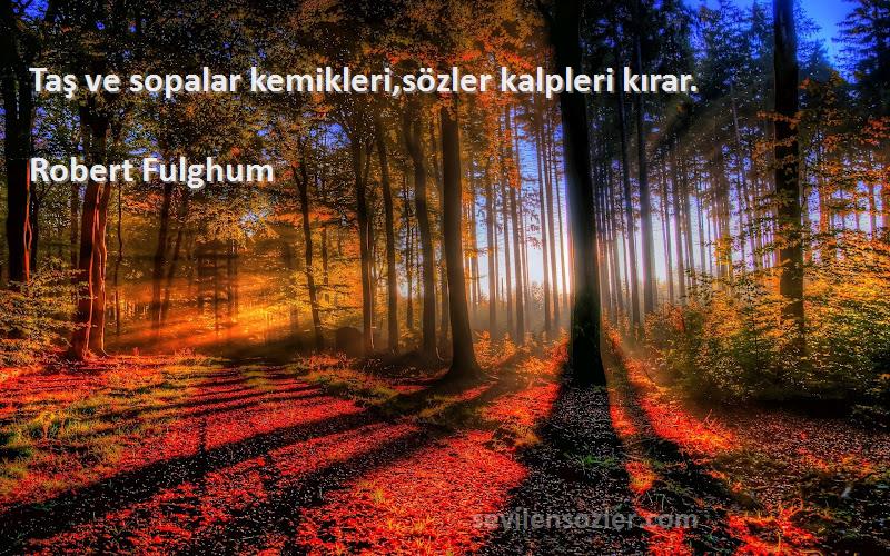 Robert Fulghum Sözleri 
Taş ve sopalar kemikleri,sözler kalpleri kırar.