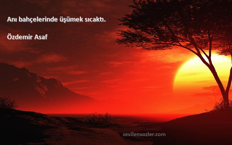 Özdemir Asaf Sözleri 
Anı bahçelerinde üşümek sıcaktı.