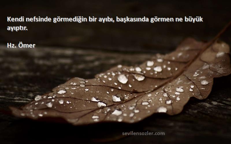 Hz. Ömer - Kendi nefsinde görmediğin bir ayıbı, başkasında görmen ne büyük ayıptır.