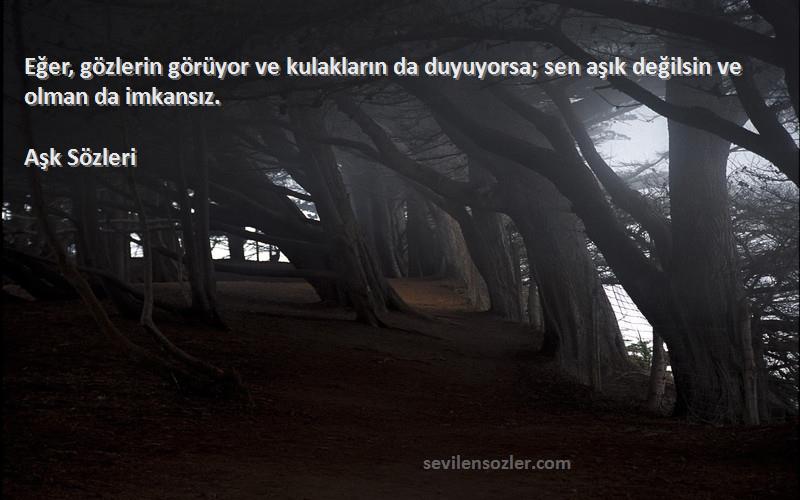 Aşk  - Eğer, gözlerin görüyor ve kulakların da duyuyorsa; sen aşık değilsin ve olman da imkansız.
