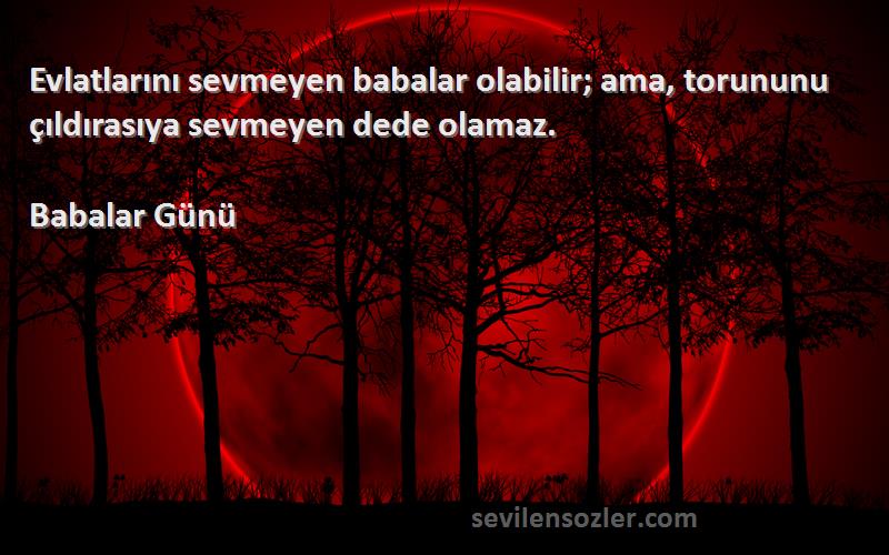 Babalar Günü - Evlatlarını sevmeyen babalar olabilir; ama, torununu çıldırasıya sevmeyen dede olamaz.