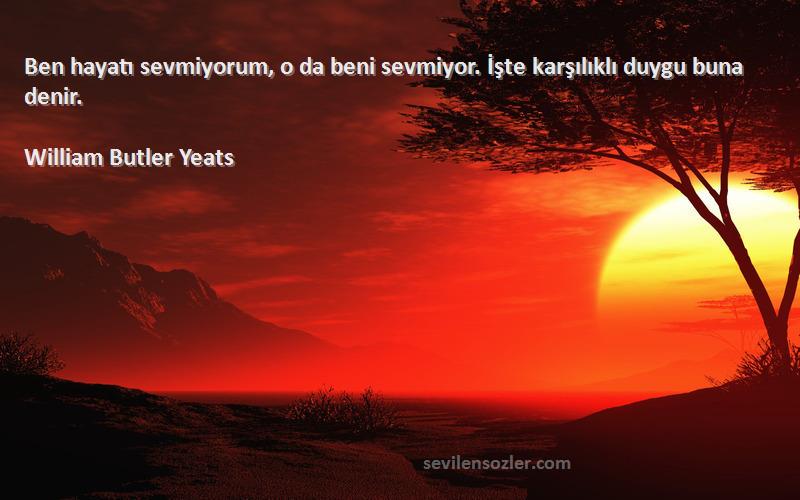 William Butler Yeats Sözleri 
Ben hayatı sevmiyorum, o da beni sevmiyor. İşte karşılıklı duygu buna denir.