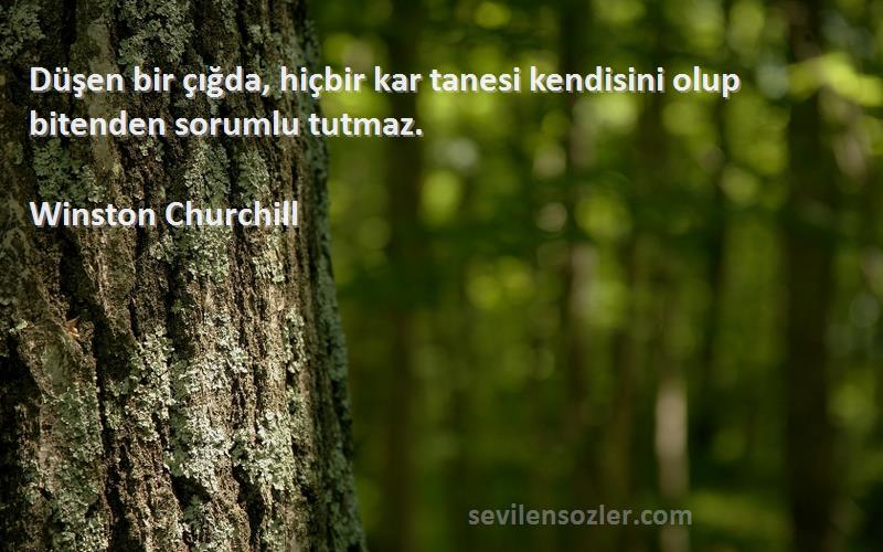 Winston Churchill Sözleri 
Düşen bir çığda, hiçbir kar tanesi kendisini olup bitenden sorumlu tutmaz.