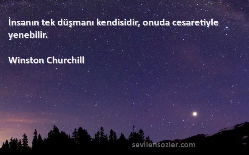 Winston Churchill Sözleri 
İnsanın tek düşmanı kendisidir, onuda cesaretiyle yenebilir.