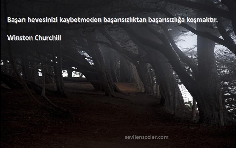 Winston Churchill Sözleri 
Başarı hevesinizi kaybetmeden başarısızlıktan başarısızlığa koşmaktır.