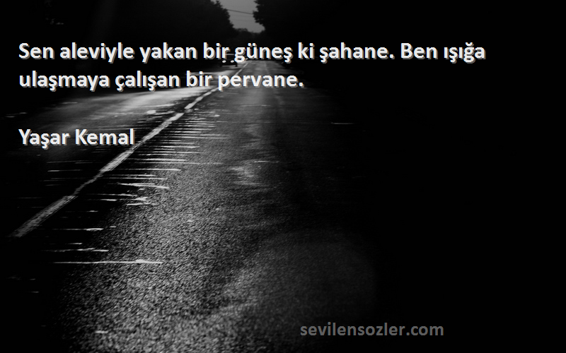 Yaşar Kemal Sözleri 
Sen aleviyle yakan bir güneş ki şahane. Ben ışığa ulaşmaya çalışan bir pervane.