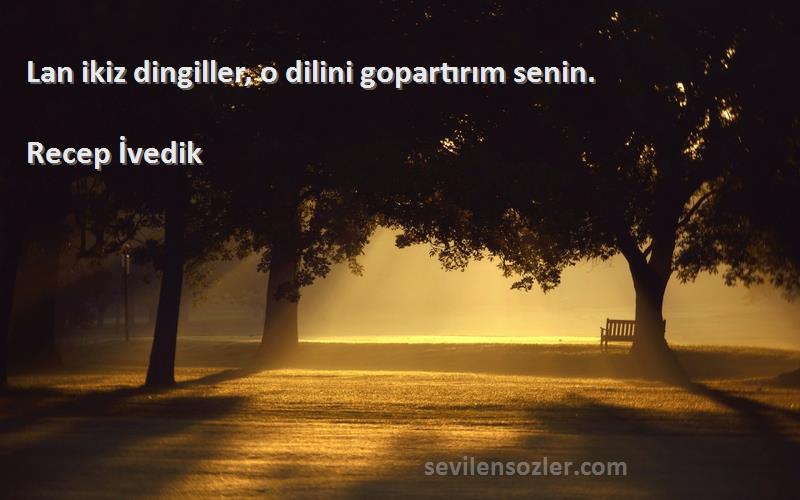 Recep İvedik Sözleri 
Lan ikiz dingiller, o dilini gopartırım senin.