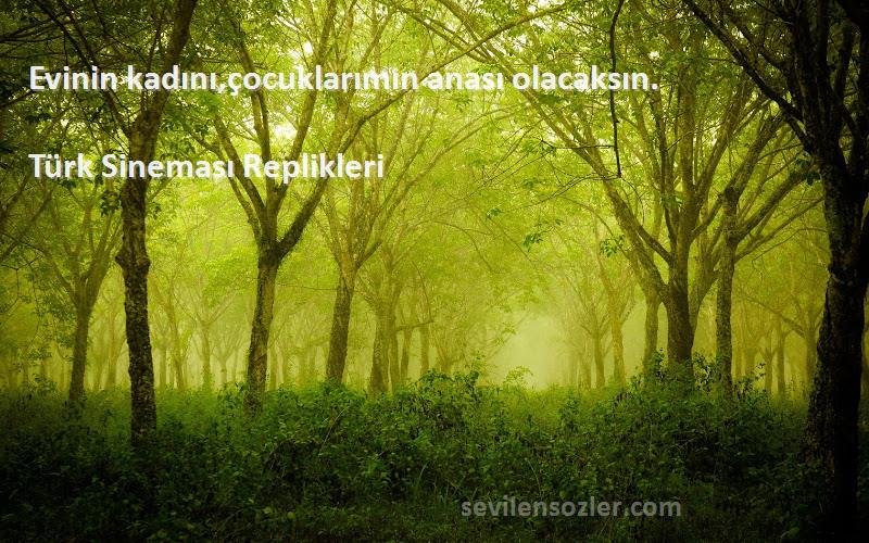 Türk Sineması Replikleri - Evinin kadını,çocuklarımın anası olacaksın.