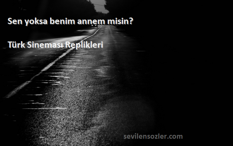Türk Sineması Replikleri - Sen yoksa benim annem misin?
