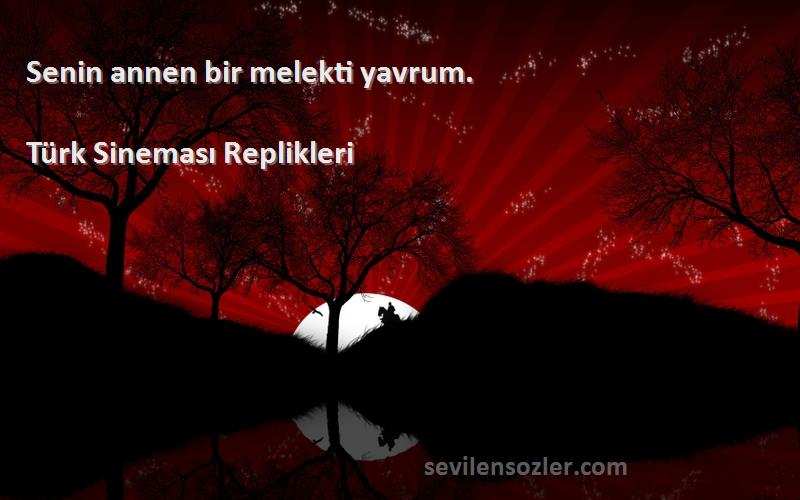 Türk Sineması Replikleri - Senin annen bir melekti yavrum.