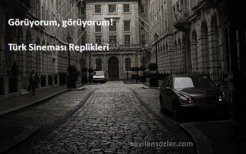 Türk Sineması Replikleri - Görüyorum, görüyorum!