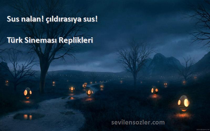 Türk Sineması Replikleri - Sus nalan! çıldırasıya sus!