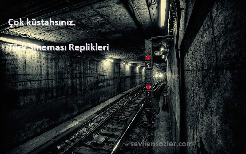 Türk Sineması Replikleri - Çok küstahsınız.