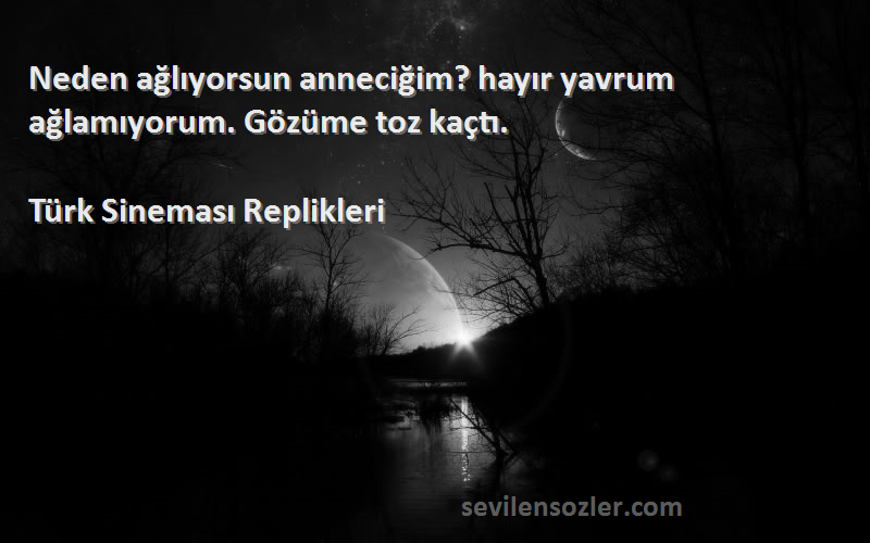 Türk Sineması Replikleri - Neden ağlıyorsun anneciğim? hayır yavrum ağlamıyorum. Gözüme toz kaçtı.