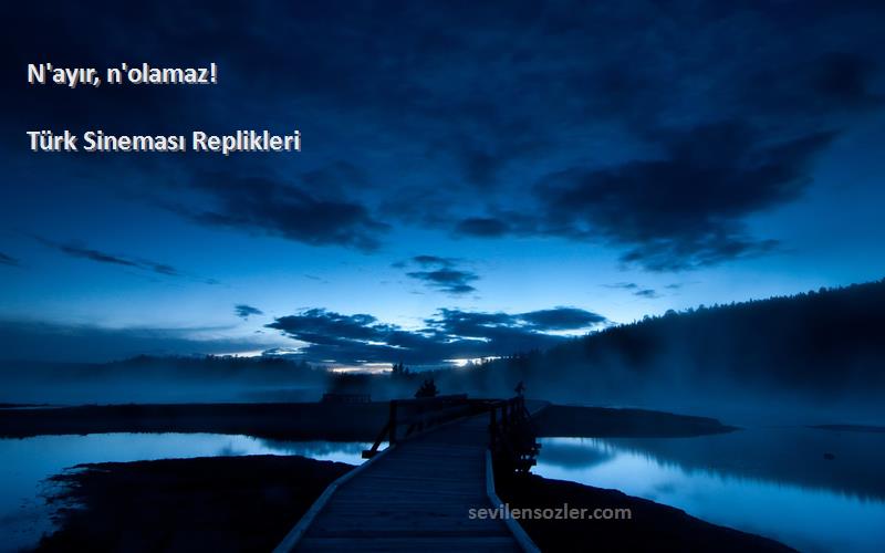 Türk Sineması Replikleri - N'ayır, n'olamaz!