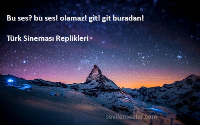 Türk Sineması Replikleri - Bu ses? bu ses! olamaz! git! git buradan!