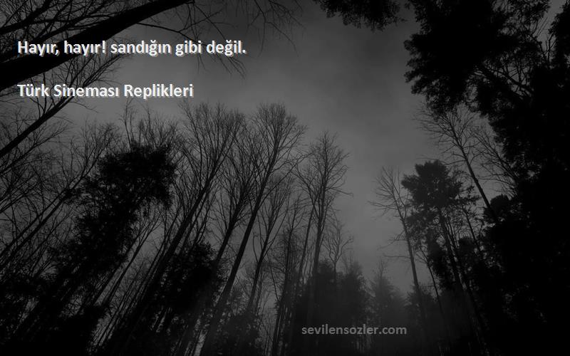 Türk Sineması Replikleri - Hayır, hayır! sandığın gibi değil.