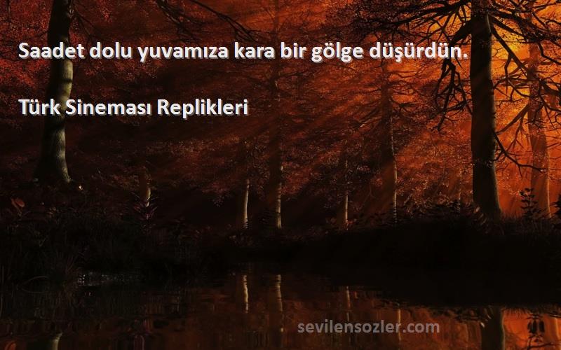 Türk Sineması Replikleri - Saadet dolu yuvamıza kara bir gölge düşürdün.