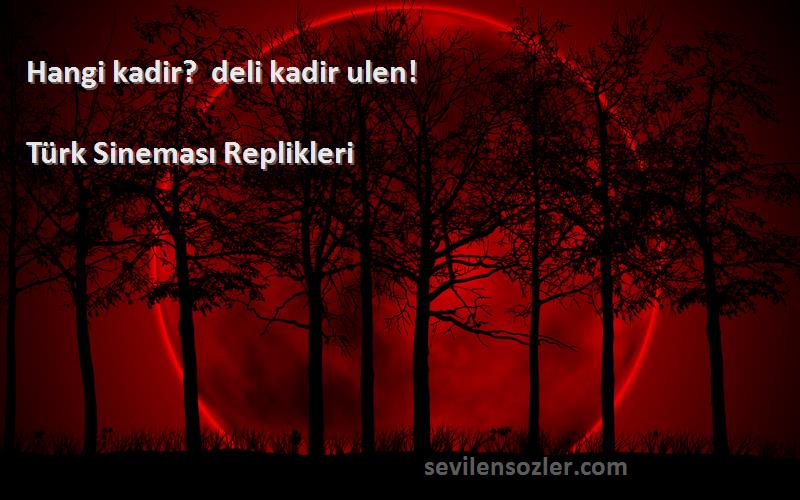 Türk Sineması Replikleri Sözleri 
Hangi kadir?  deli kadir ulen!