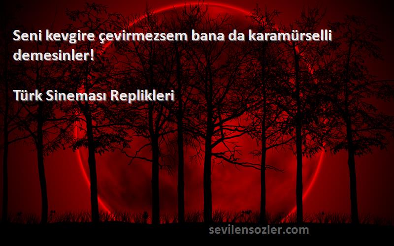 Türk Sineması Replikleri - Seni kevgire çevirmezsem bana da karamürselli demesinler!