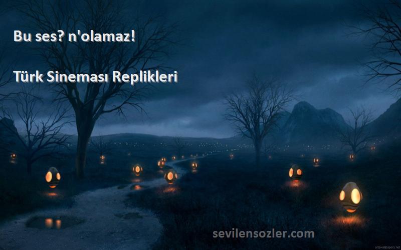 Türk Sineması Replikleri - Bu ses? n'olamaz!