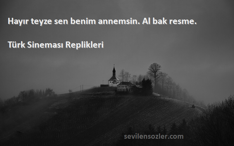 Türk Sineması Replikleri - Hayır teyze sen benim annemsin. Al bak resme.