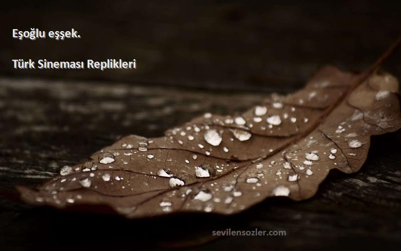 Türk Sineması Replikleri - Eşoğlu eşşek.