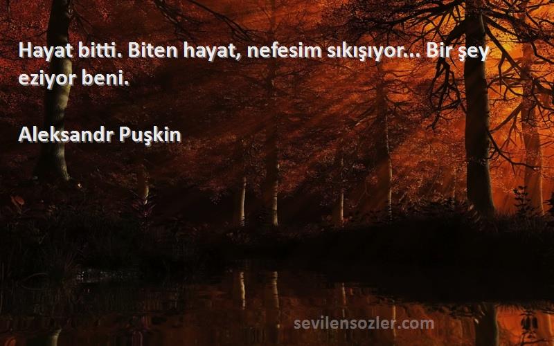 Aleksandr Puşkin Sözleri 
Hayat bitti. Biten hayat, nefesim sıkışıyor... Bir şey eziyor beni.