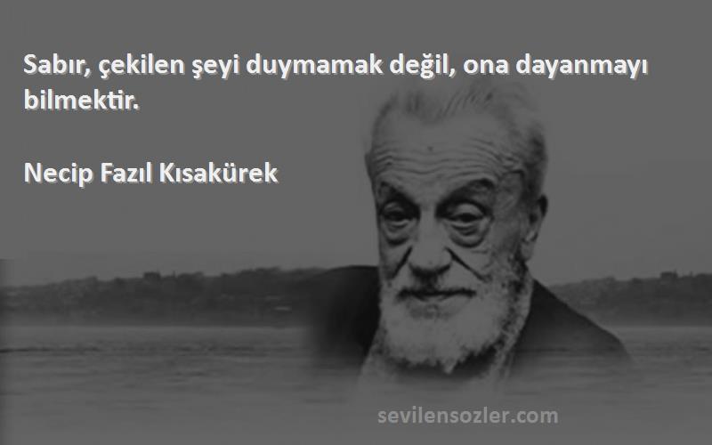 Necip Fazıl Kısakürek - Sabır, çekilen şeyi duymamak değil, ona dayanmayı bilmektir.