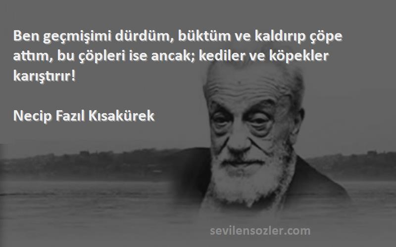 Necip Fazıl Kısakürek Sözleri 
Ben geçmişimi dürdüm, büktüm ve kaldırıp çöpe attım, bu çöpleri ise ancak; kediler ve köpekler karıştırır!