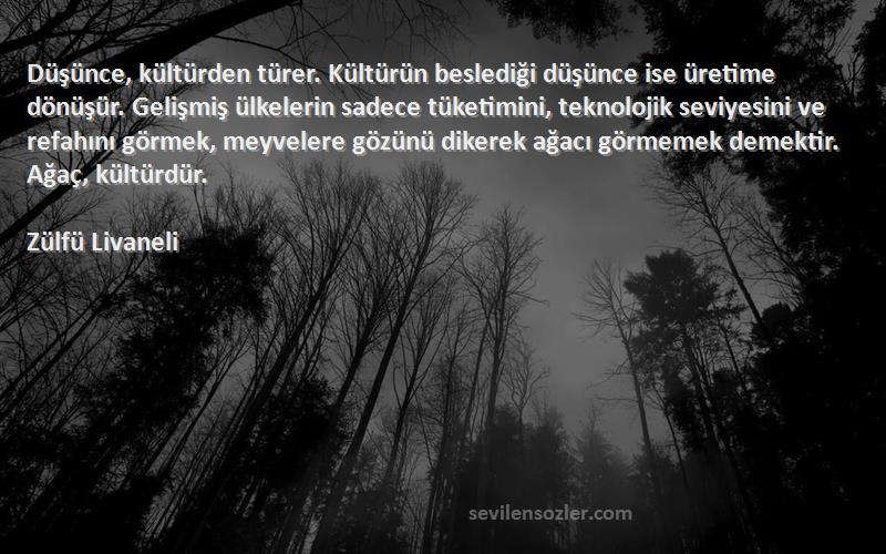 Zülfü Livaneli Sözleri 
Düşünce, kültürden türer. Kültürün beslediği düşünce ise üretime dönüşür. Gelişmiş ülkelerin sadece tüketimini, teknolojik seviyesini ve refahını görmek, meyvelere gözünü dikerek ağacı görmemek demektir. Ağaç, kültürdür.