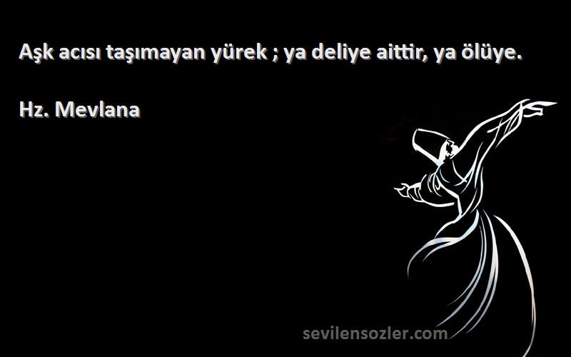 Hz. Mevlana Sözleri 
Aşk acısı taşımayan yürek ; ya deliye aittir, ya ölüye.