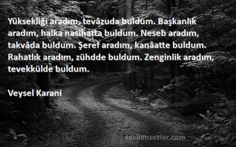 Veysel Karani Sözleri 
Yüksekliği aradım, tevâzuda buldum. Başkanlık aradım, halka nasihatta buldum. Neseb aradım, takvâda buldum. Şeref aradım, kanâatte buldum. Rahatlık aradım, zühdde buldum. Zenginlik aradım, tevekkülde buldum.