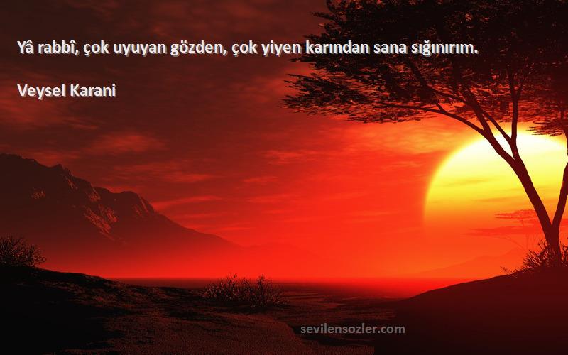Veysel Karani Sözleri 
Yâ rabbî, çok uyuyan gözden, çok yiyen karından sana sığınırım.