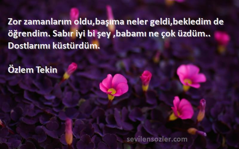 Özlem Tekin Sözleri 
Zor zamanlarım oldu,başıma neler geldi,bekledim de öğrendim. Sabır iyi bi şey ,babamı ne çok üzdüm.. Dostlarımı küstürdüm.