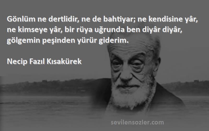 Necip Fazıl Kısakürek Sözleri 
Gönlüm ne dertlidir, ne de bahtiyar; ne kendisine yâr, ne kimseye yâr, bir rüya uğrunda ben diyâr diyâr, gölgemin peşinden yürür giderim.