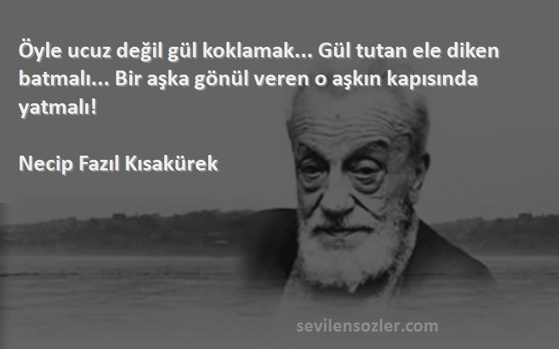 Necip Fazıl Kısakürek Sözleri 
Öyle ucuz değil gül koklamak... Gül tutan ele diken batmalı... Bir aşka gönül veren o aşkın kapısında yatmalı!