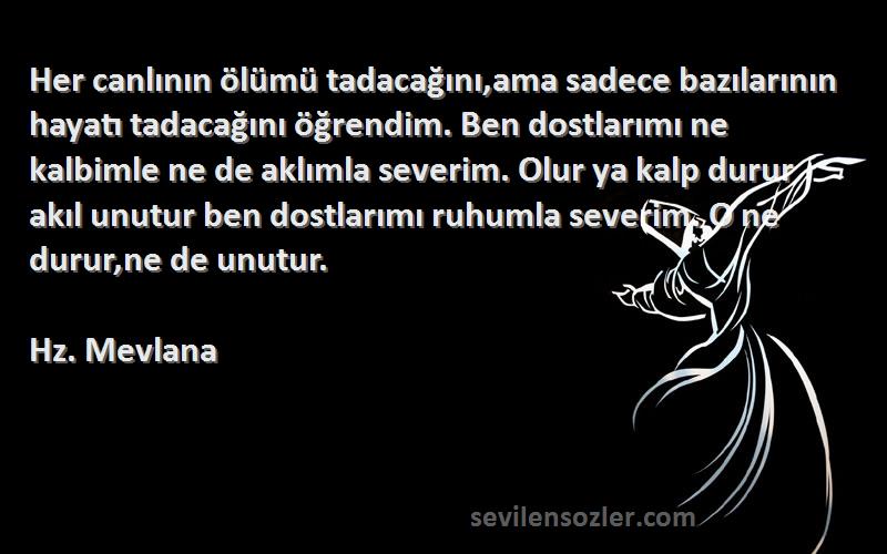 Hz. Mevlana Sözleri 
Her canlının ölümü tadacağını,ama sadece bazılarının hayatı tadacağını öğrendim. Ben dostlarımı ne kalbimle ne de aklımla severim. Olur ya kalp durur akıl unutur ben dostlarımı ruhumla severim. O ne durur,ne de unutur.