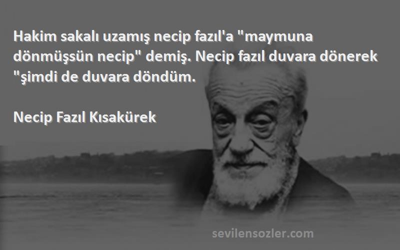 Necip Fazıl Kısakürek Sözleri 
Hakim sakalı uzamış necip fazıl'a maymuna dönmüşsün necip demiş. Necip fazıl duvara dönerek şimdi de duvara döndüm.